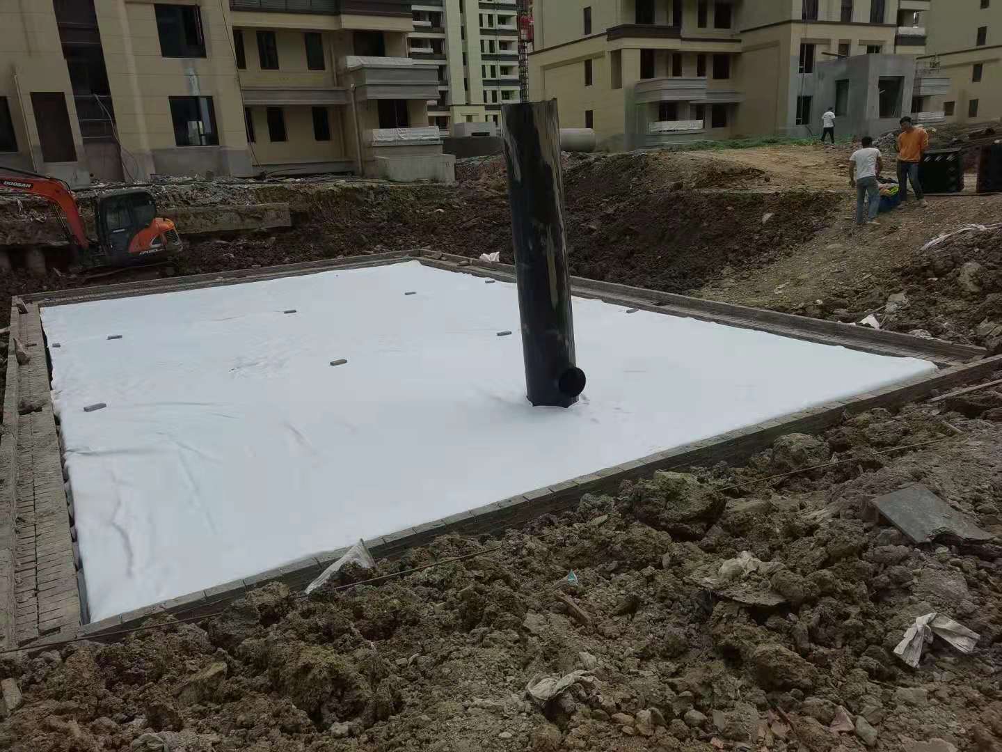 1623998205194640.jpg 01.jpg