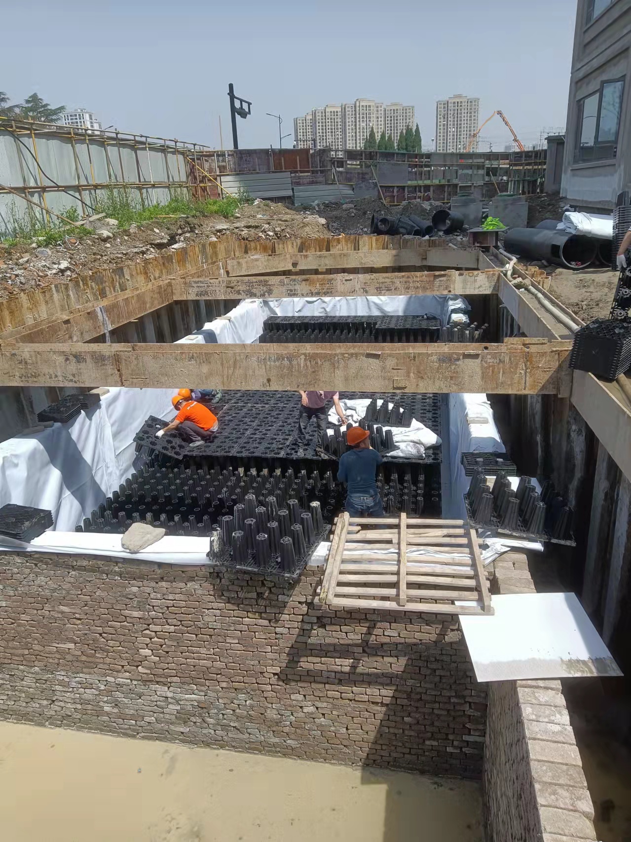 1649297080628368.jpg 22.jpg