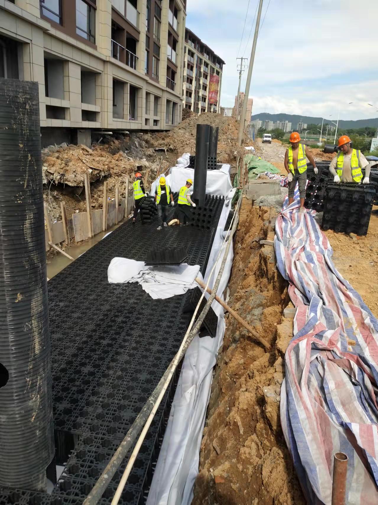 1658196717656512.jpg 2.jpg