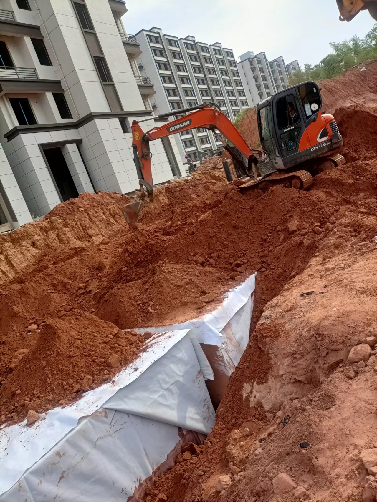 1661910988149770.jpg 4.jpg