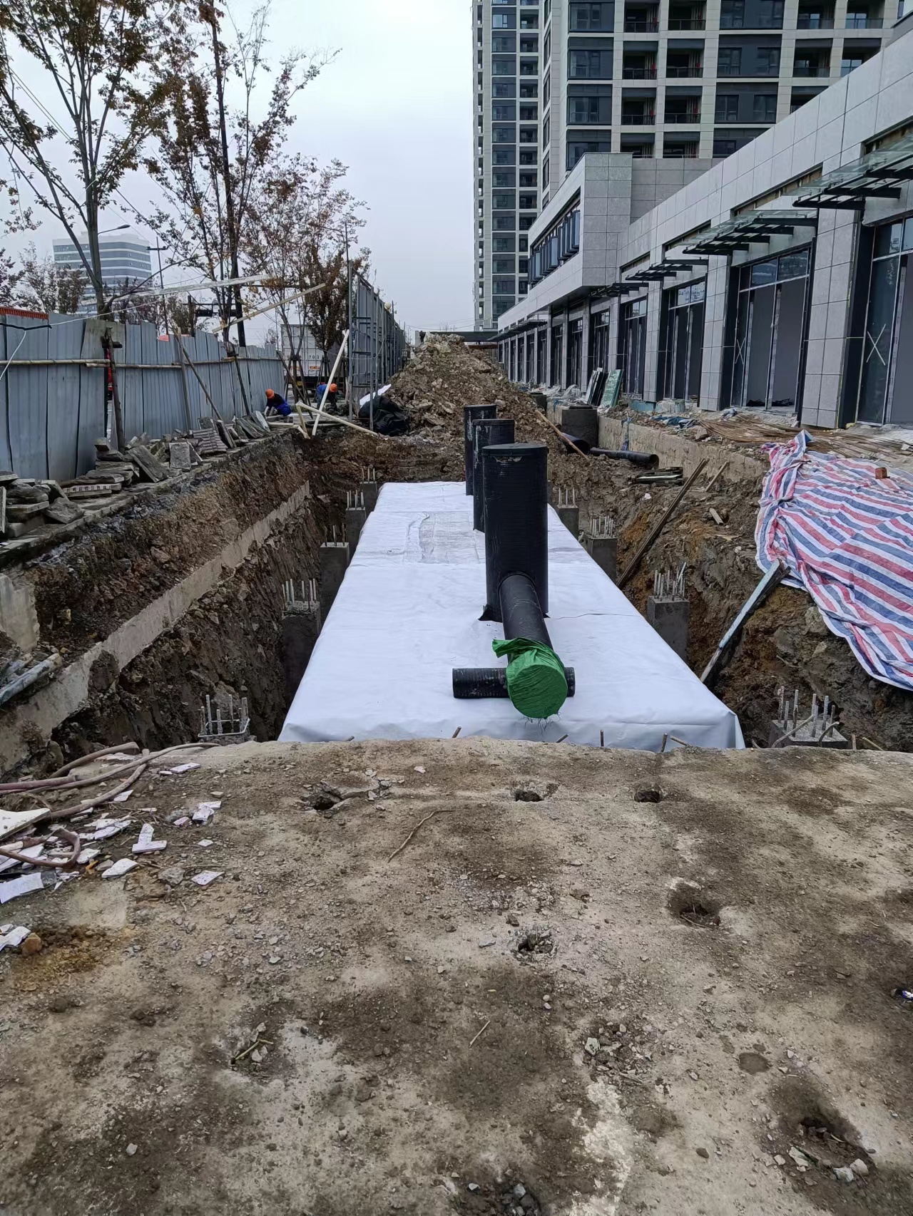 1669769712854334.jpg 5.jpg