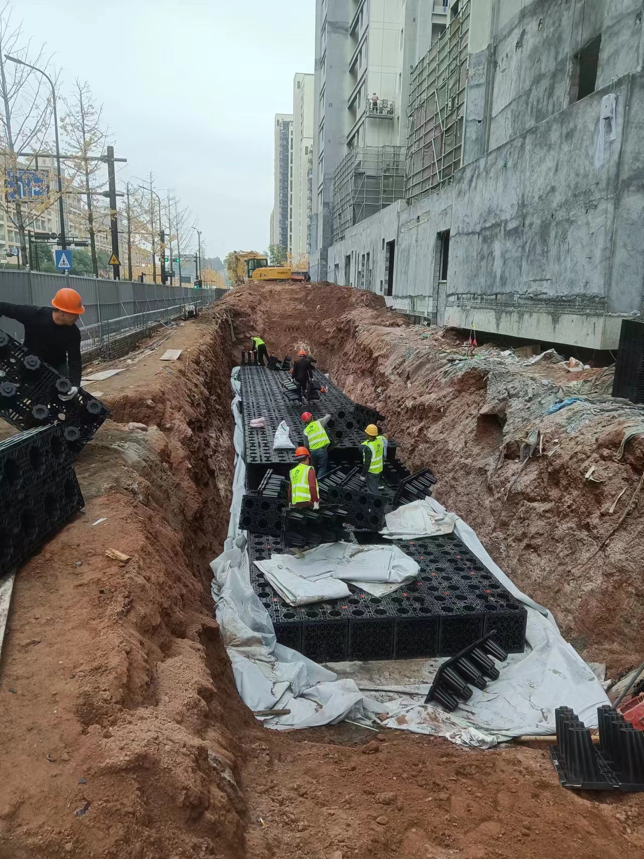 1701334191142236.jpg 3.jpg